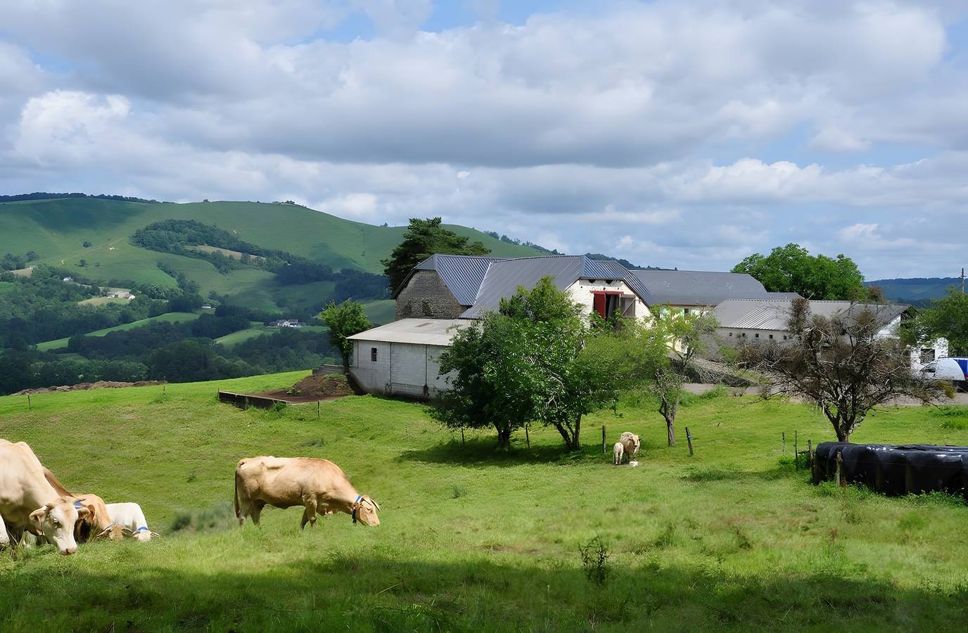 Gite coig de lamothe in Aramits, Béarn