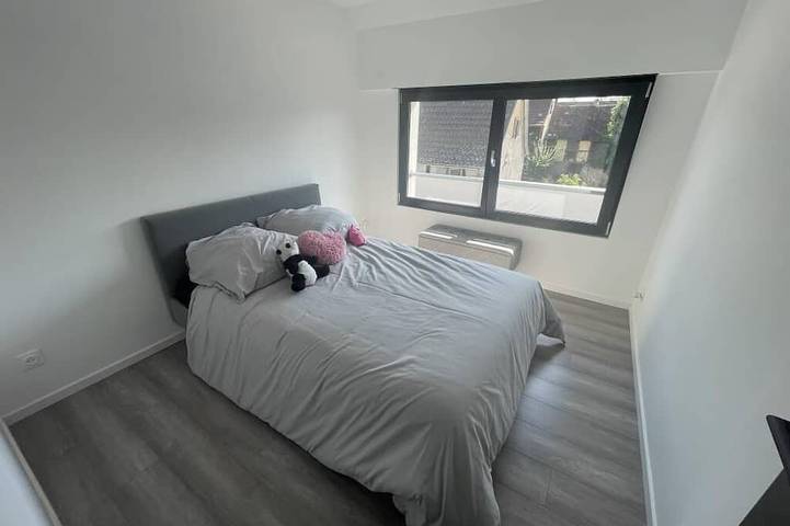 Location de vacances pour 6 personnes, avec jacuzzi à Widensolen - 4