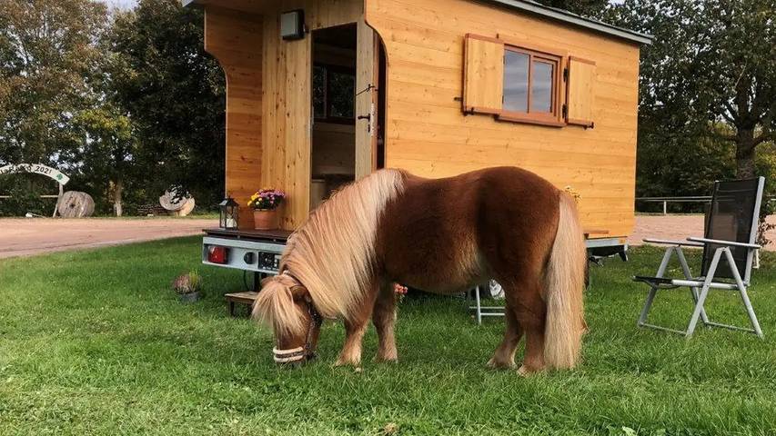 Camping für 3 Personen in Baden-Württemberg