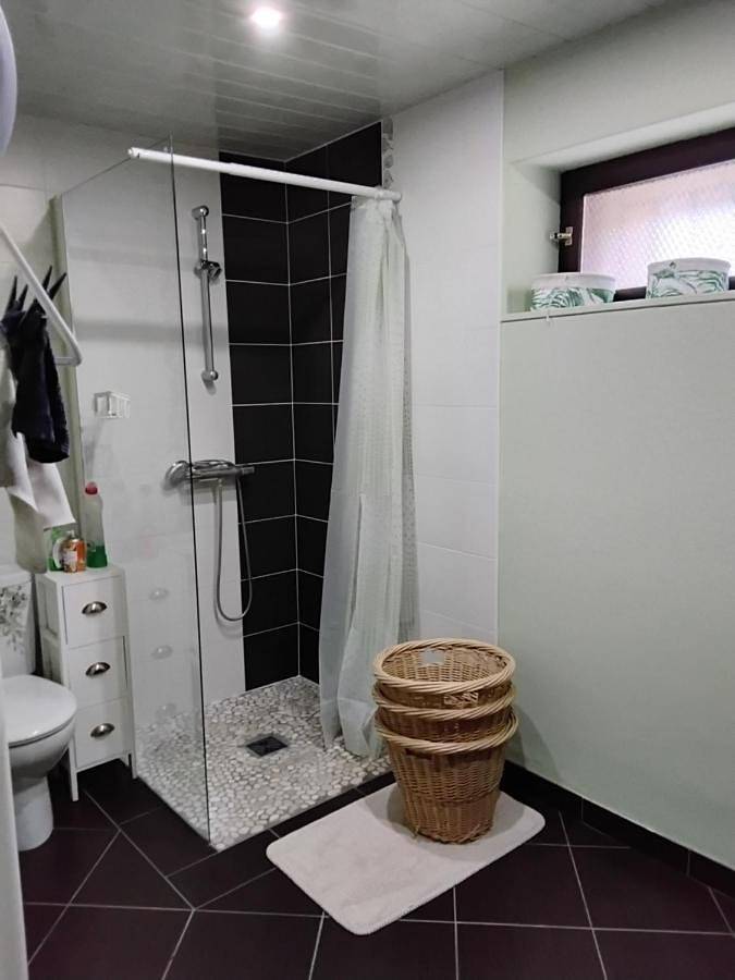 Angelica in Chamblet, Région de Montluçon