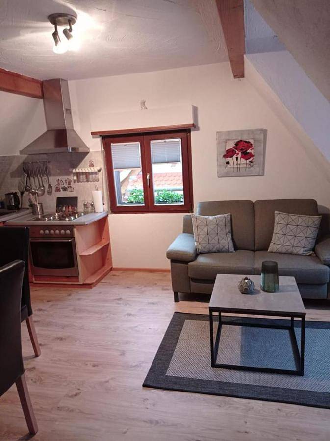 Standard Double Room in Schweigen-Rechtenbach, Arrondissement de la Route-du-Vin-du-Sud