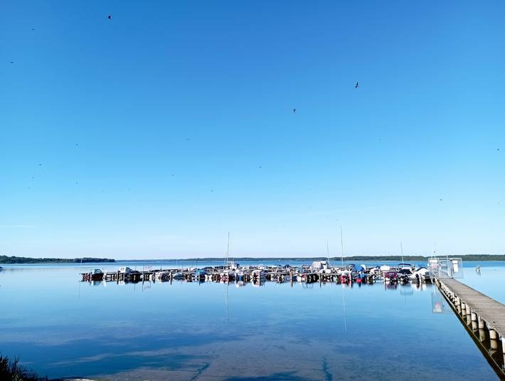 Ferienhaus für 7 Personen, mit Garten und Terrasse, mit Haustier in Göhren-Lebbin - 3