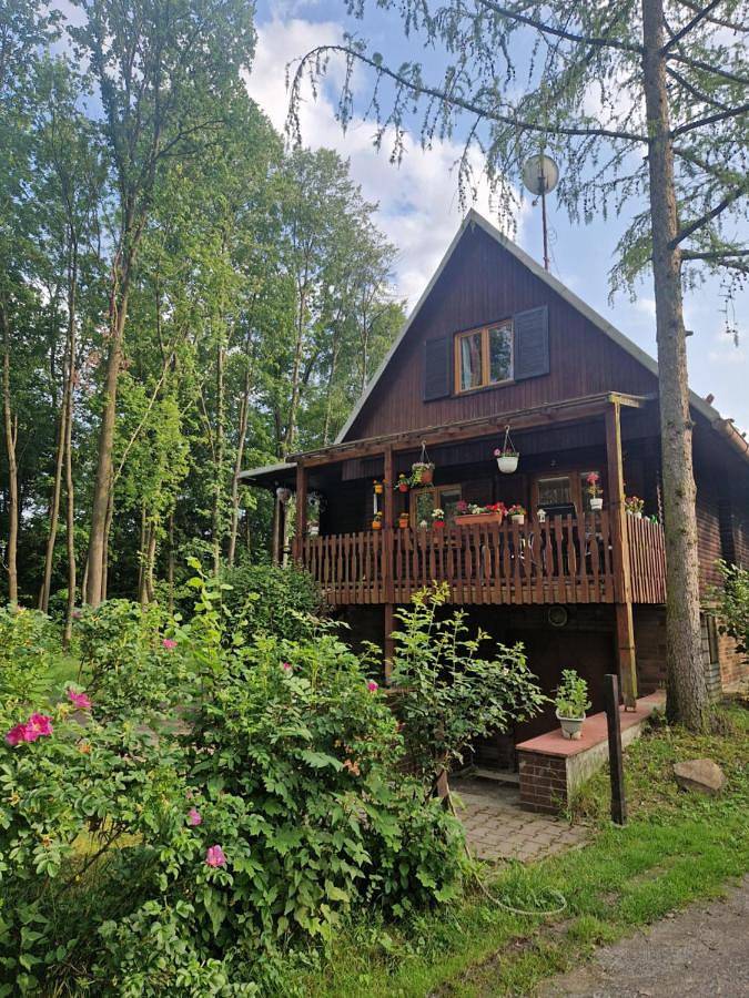 Ferienhaus für 6 Personen, mit Garten und Ausblick sowie Seeblick, mit Haustier - 1