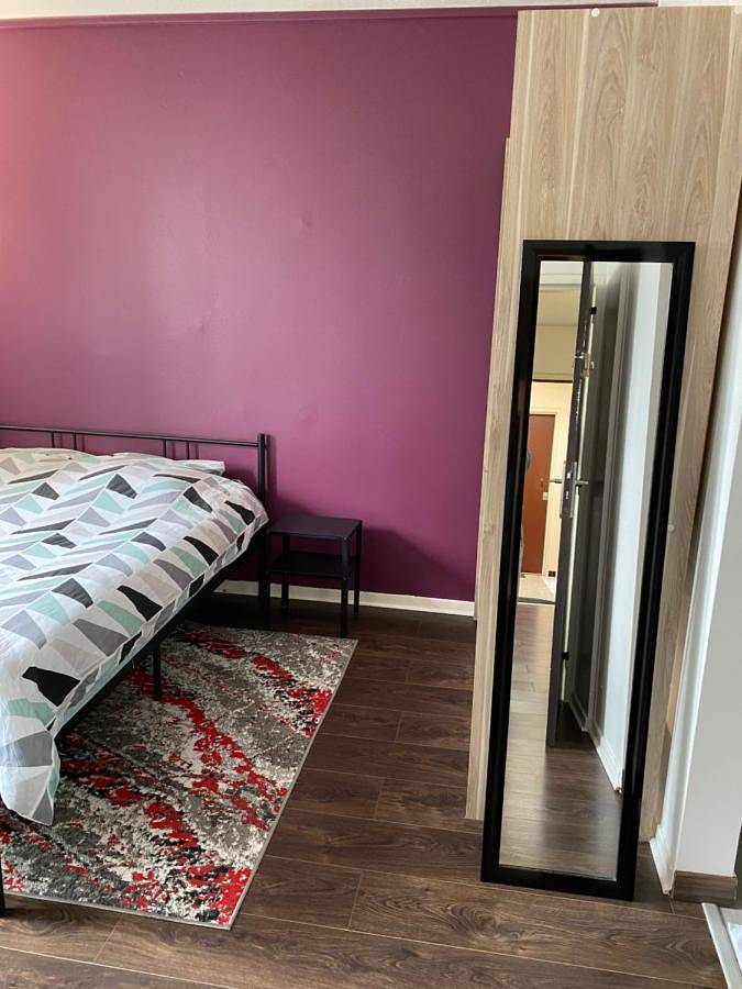 Appartement entier, Double Room with Balcony in Vandœuvre-lès-Nancy, Région de Nancy