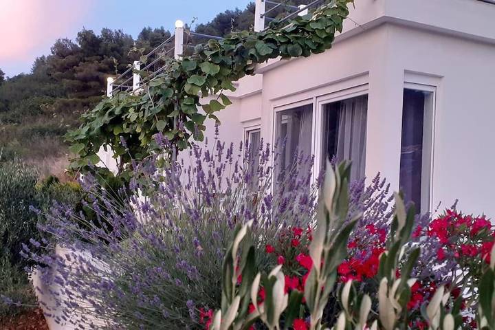 Villa pour 9 personnes, avec piscine ainsi que jardin et vue dans Vis - 2
