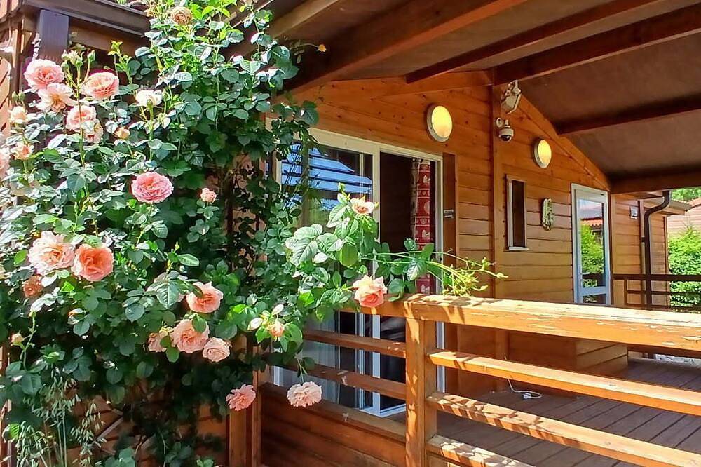 Le Petit Chalet Des Vosges (near Gerardmer) in Corcieux, Parque natural regional de los Ballons des Vosges