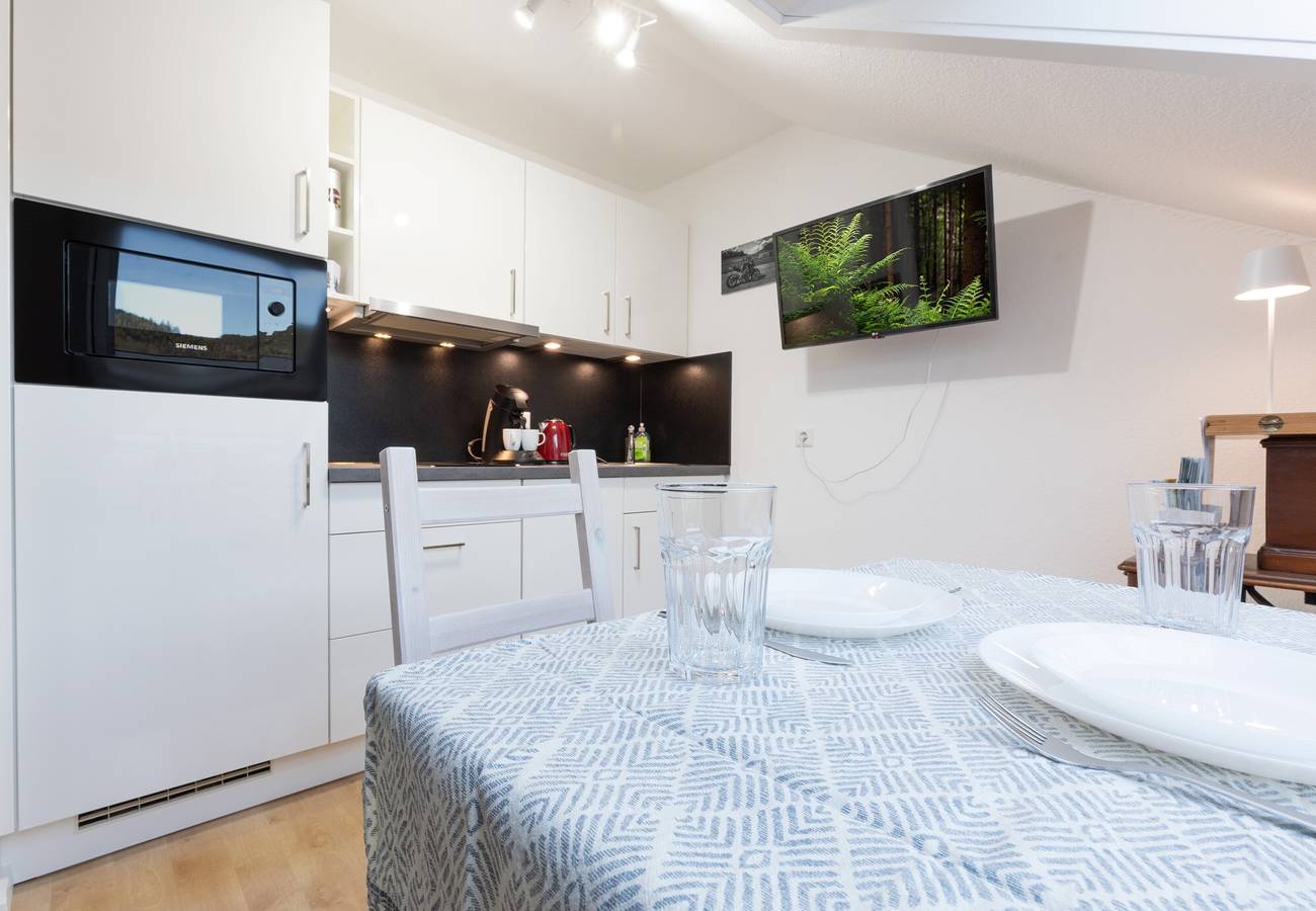 Ganzes Studio, Einzimmerapartment 'Sagenhafter Ausblick' mit Bergblick, Terrasse und Wi-Fi in Bad Peterstal-Griesbach, Mittlerer Schwarzwald