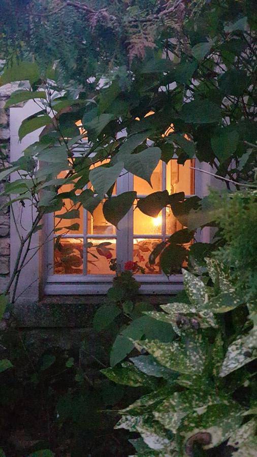 Location de vacances pour 4 personnes, avec jardin, animaux acceptés à Nalliers - 3