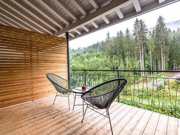 Ferienwohnung für 2 Personen, mit Sauna in Titisee-Neustadt - 3