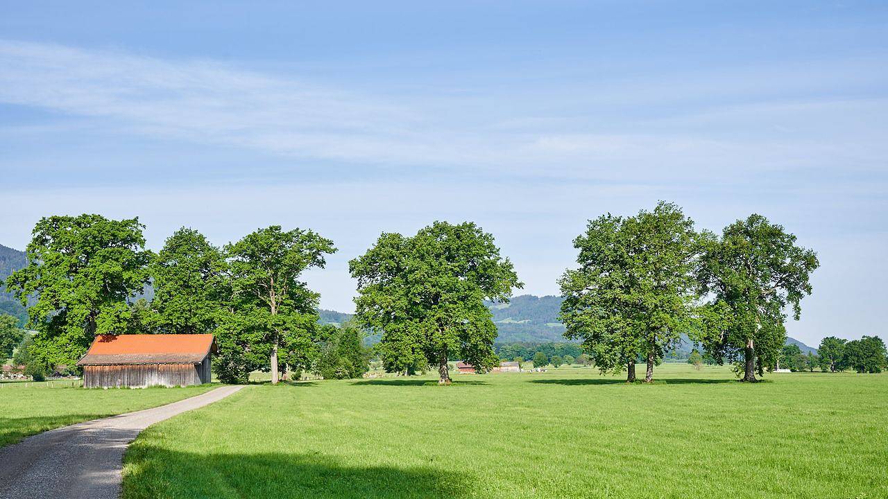 Ganze Ferienwohnung, Ferienwohnung für 2 Personen (34 m²) in Feilnbach in Bad Feilnbach, Bayerische Alpen