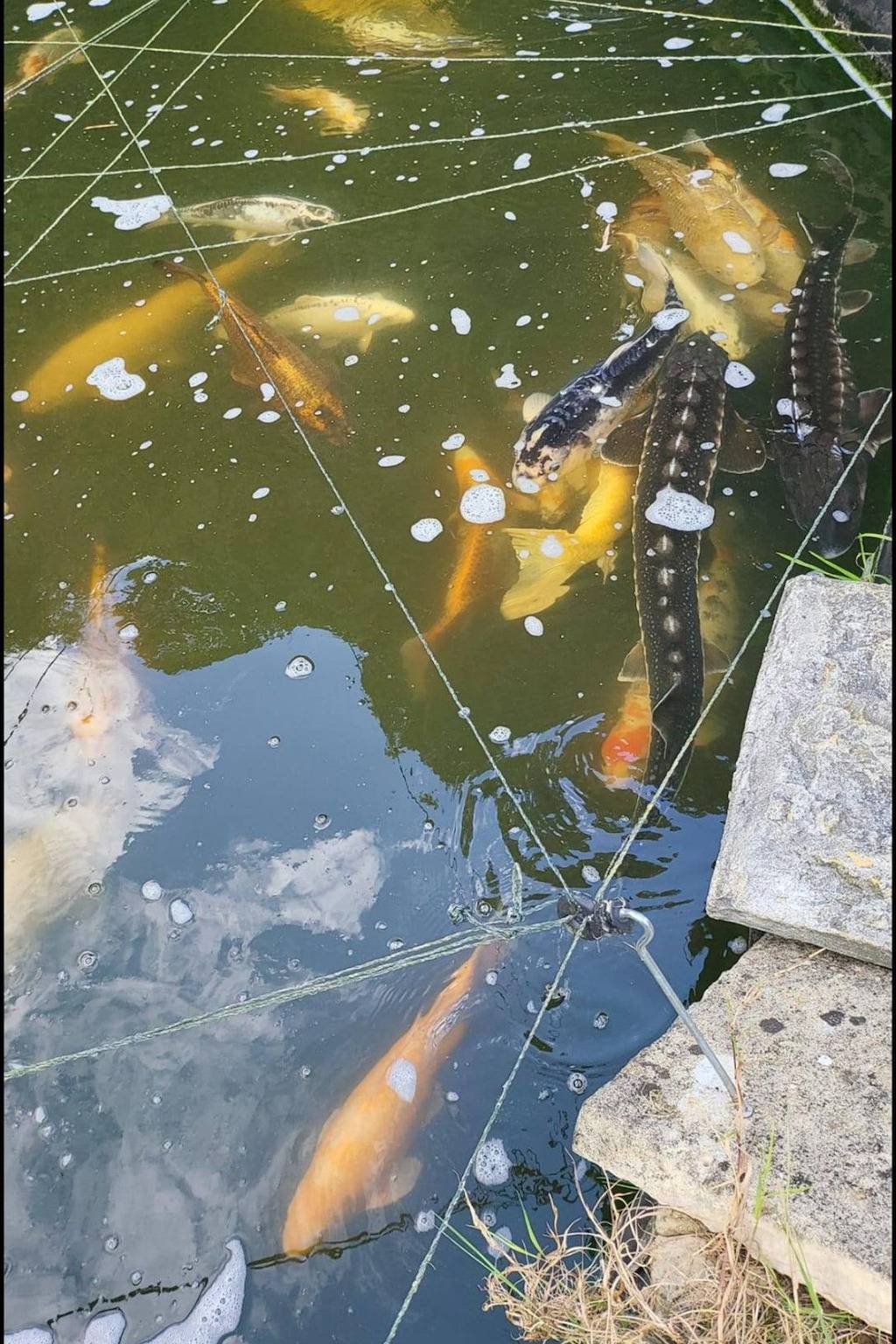 Beautiful Self Contained Cottages in Westbury in Wiltshire