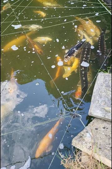 Vacation Rental for 8 Guests in Wiltshire, South West England, Picture 1