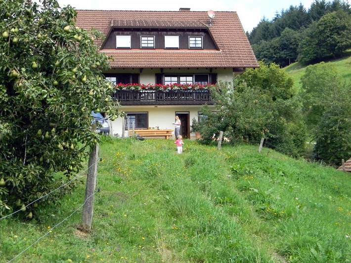 Filter.pet.vacation_home für 3 Personen, mit Terrasse in Markgraeflerland - 4