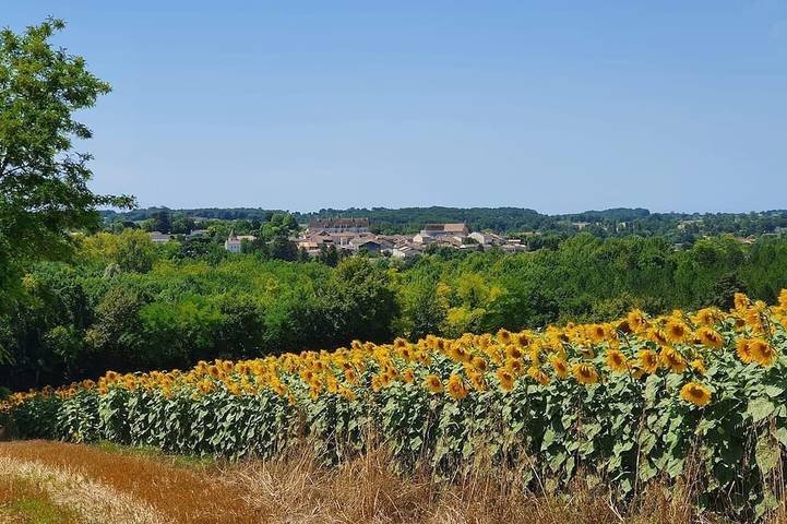 Location de vacances pour 6 personnes, avec terrasse et jardin à Lauzun