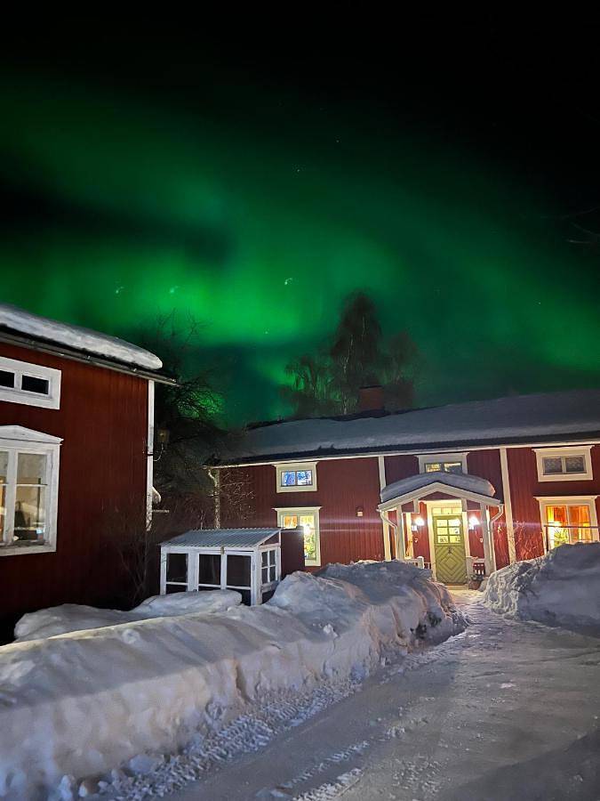 Location de vacances pour 4 personnes, avec sauna ainsi que vue et jardin à Lulea - 3