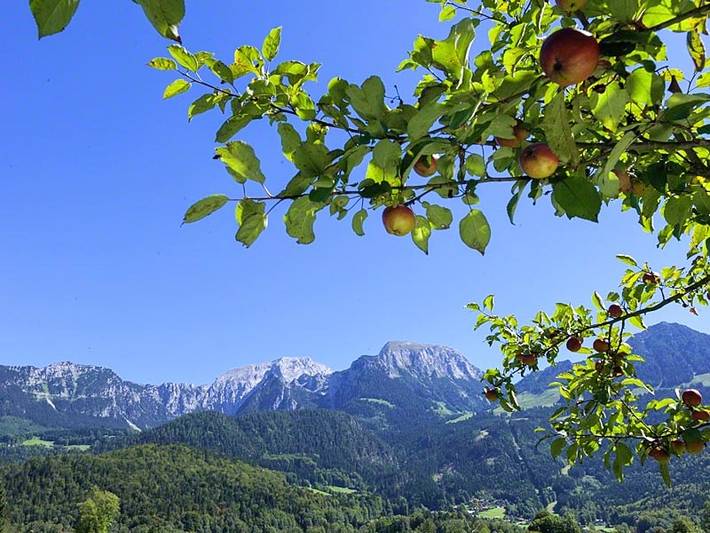 Ferienhaus für 4 Personen, mit Balkon und Terrasse sowie Garten in Schönau am Königssee - 3