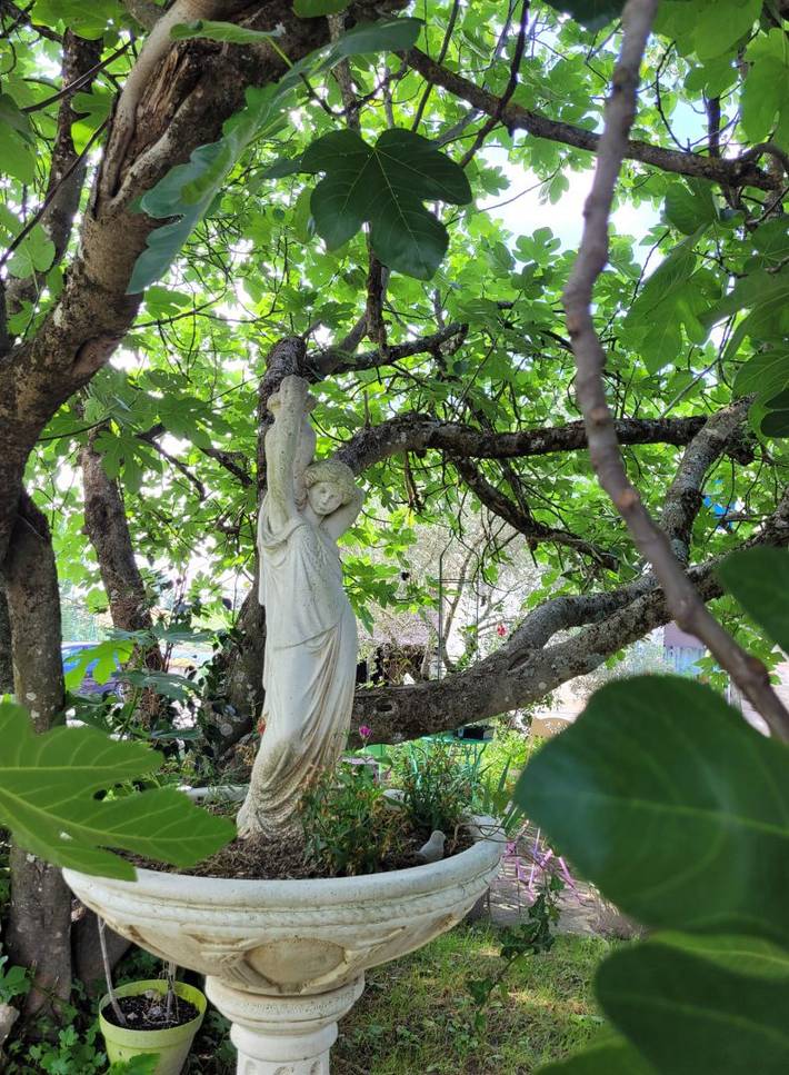 Chambre d’hôte pour 2 personnes, avec jardin et piscine dans le Tarn-et-Garonne - 4