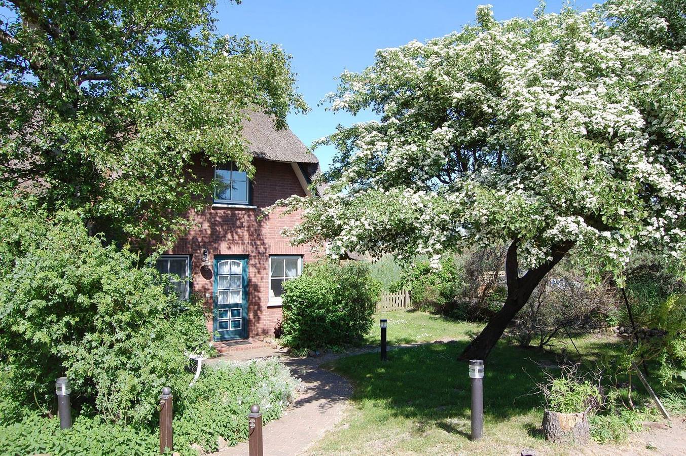 Ferienwohnung " Dünenschlösschen" - ca. 70 m² für 2-4 Personen mit Meerblick in Ahrenshoop, Fischland