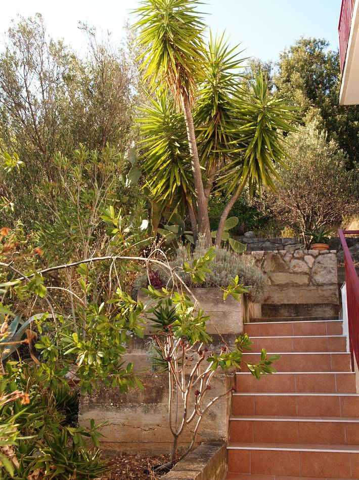 Ferienwohnung für 6 Personen, mit Balkon/Terrasse, mit Haustier in Dalmatien - 4