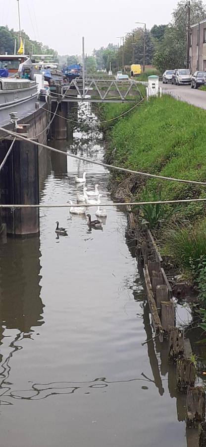 Bateau pour 4 personnes, avec balcon ainsi que vue et vue sur le lac dans Hauts-de-France - 4