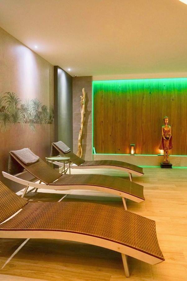 Hôtel pour 2 personnes, avec jacuzzi et terrasse ainsi que sauna et piscine, animaux acceptés à Valff - 2