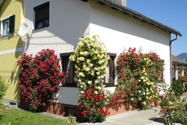 Ferienhaus für 6 Personen, mit Ausblick und Garten - 1