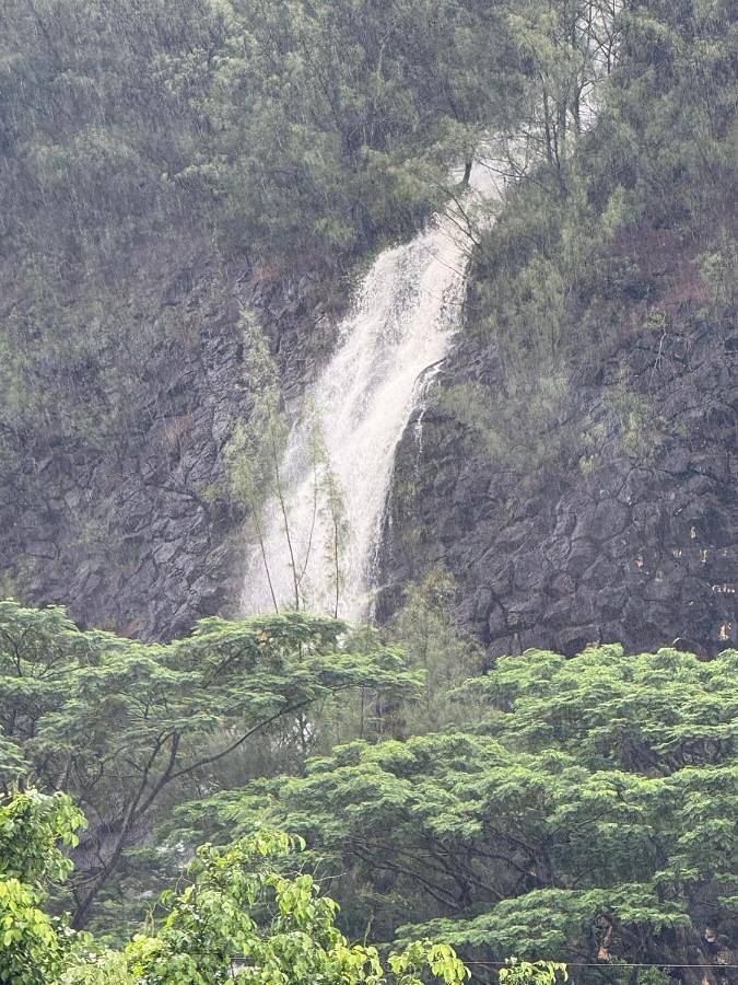 Maison d’hôte pour 2 personnes, avec jardin dans Huahine - 4