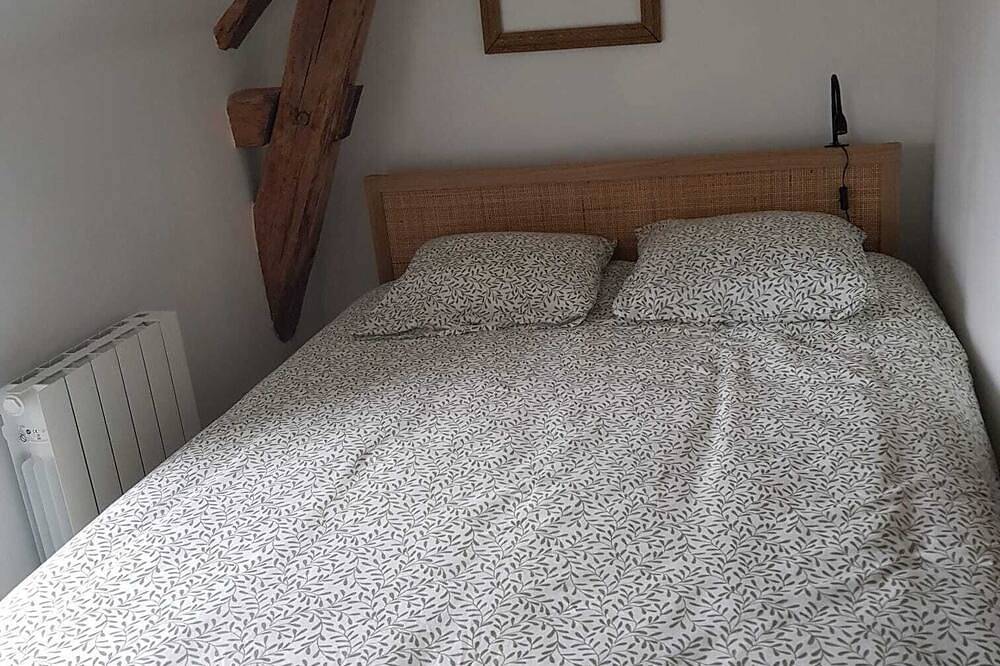 Appartement entier, La sirène, entre le zoo de Beauval et les châteaux de la Loire in Romorantin-Lanthenay, Sologne