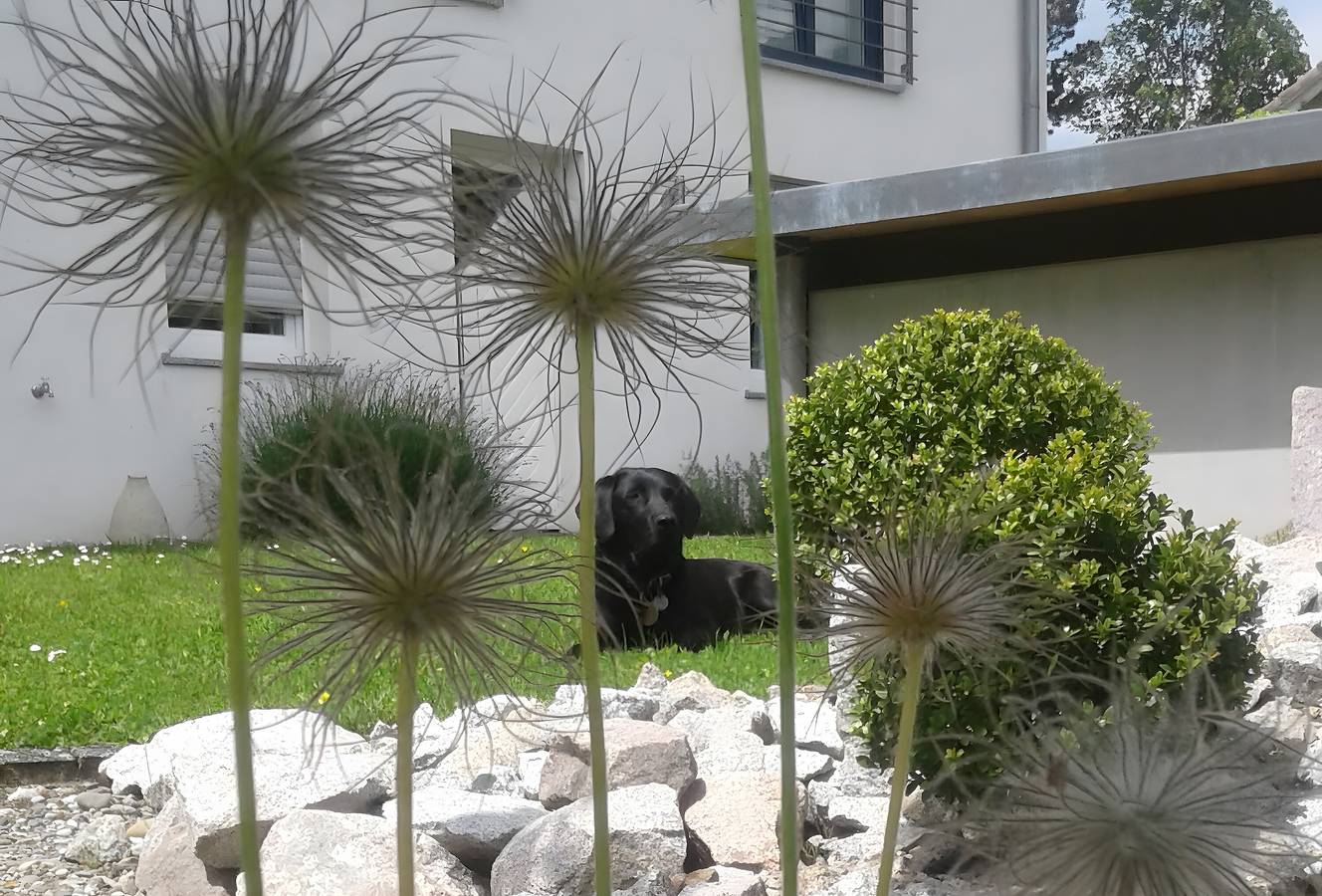 Ganze Ferienwohnung, Grimm's Lodge - 1-Raum-Apartment in Lörrach, Südschwarzwald