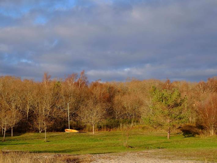 Ferienhaus für 8 Personen, mit Terrasse und Sauna in Djursland - 4