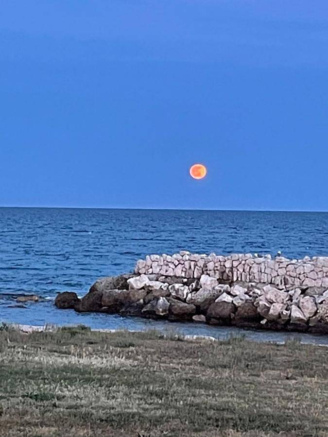 Gîte pour 2 personnes, avec jardin et terrasse dans San Giovanni Sardinia - 4