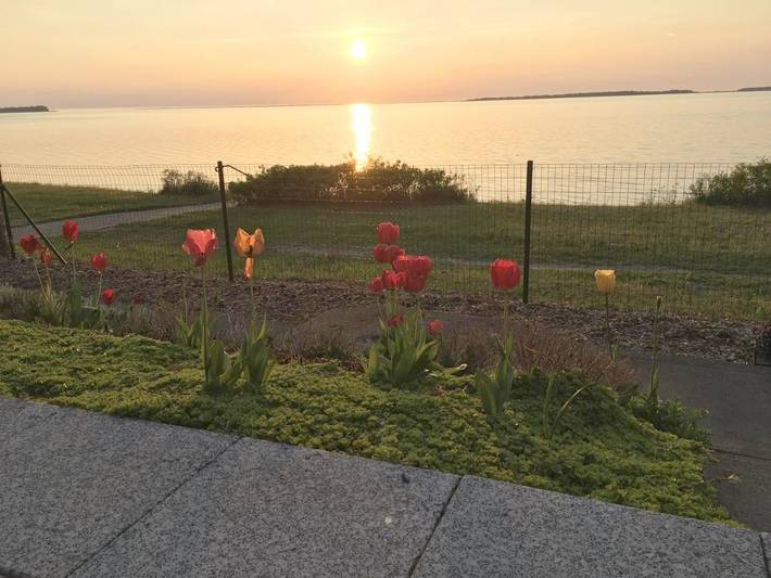 Ferienwohnung für 2 Personen, mit Seeblick und Garten sowie Ausblick und Pool in Pepelow - 4