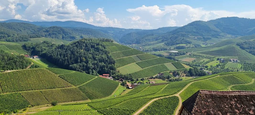 Hotel Ritter Durbach - Economy Doppelzimmer in Durbach, Mittlerer Schwarzwald