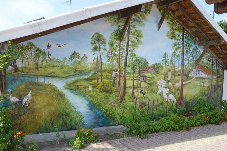 Location de vacances pour 4 personnes, avec jardin et piscine dans Morcenx-la-Nouvelle - 3