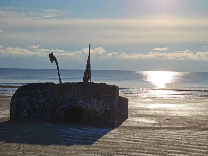 Ferienhaus für 6 Personen, mit Terrasse, mit Haustier in Tirpitz Museum (Oksby) - 4