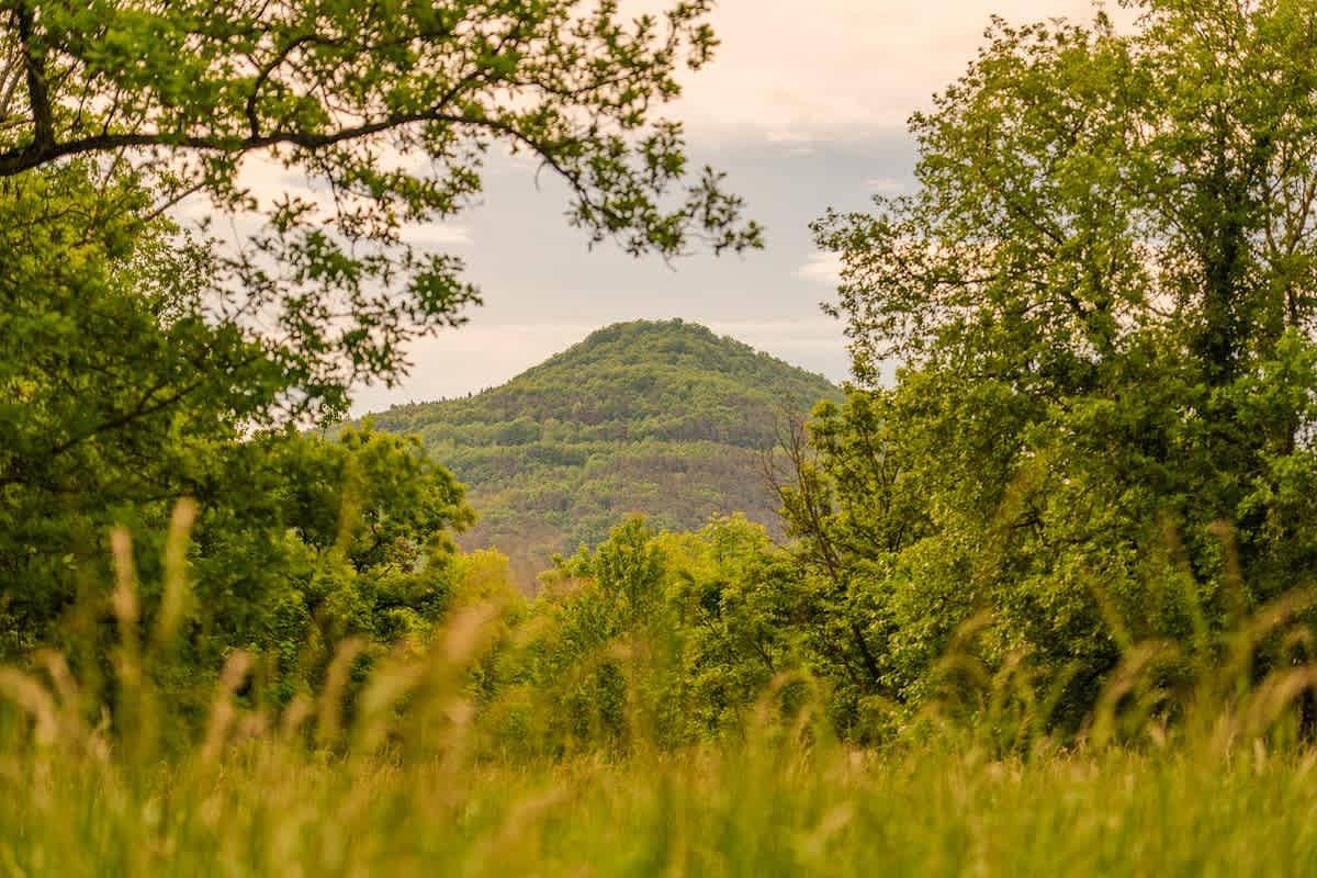 Appartement entier, Appartement de vacances pour 2 personnes in Saint-Diéry, Parc naturel régional des Volcans d'Auvergne