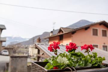Glamping per 2 Persone in Comune di Fénis, Via Francigena, Foto 1