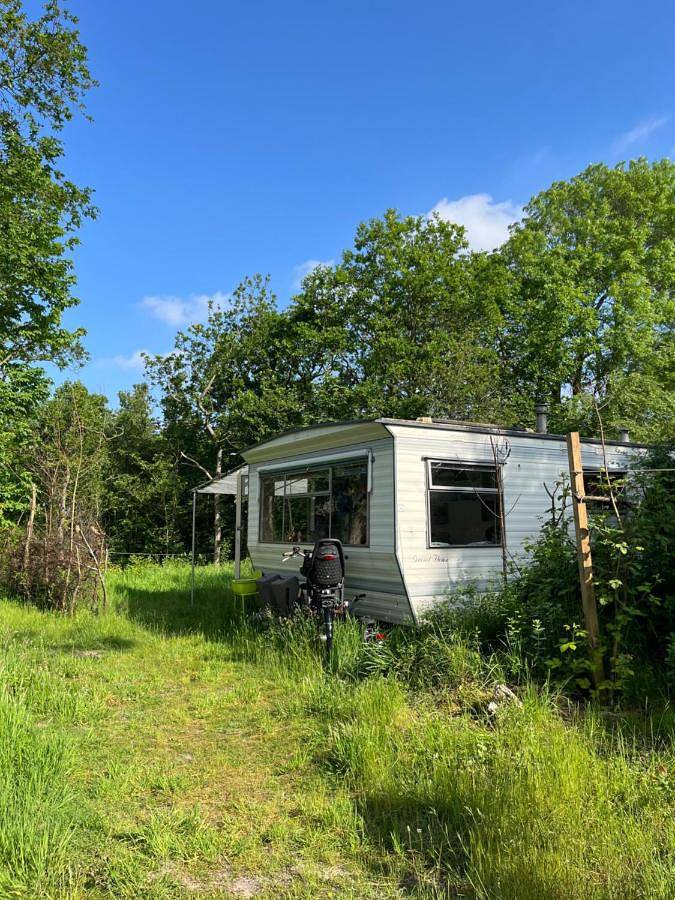 Bungalow voor 2 personen, with Terras and Tuin as well as Uitzicht and Uitzicht op het meer in Castricum