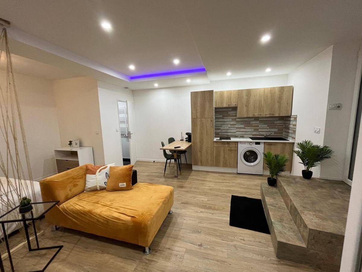 Appartement entier, Appartement Luxe Jaune in Saint-Étienne, Parc Naturel Régional du Pilat
