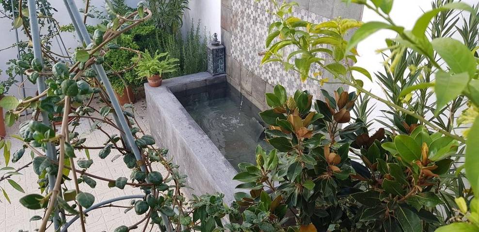 Alojamiento y desayuno para 2 personas, con terraza y jardín, Se admiten mascotas en Sierras Subbéticas - 2