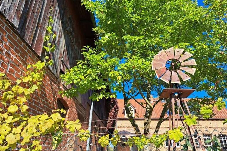 Bauernhof für 4 Personen, mit Garten in Biosphärenreservat Schorfheide Chorin - 4