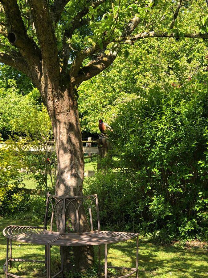 Tente pour 2 personnes, avec vue ainsi que jardin et terrasse dans le Calvados - 2