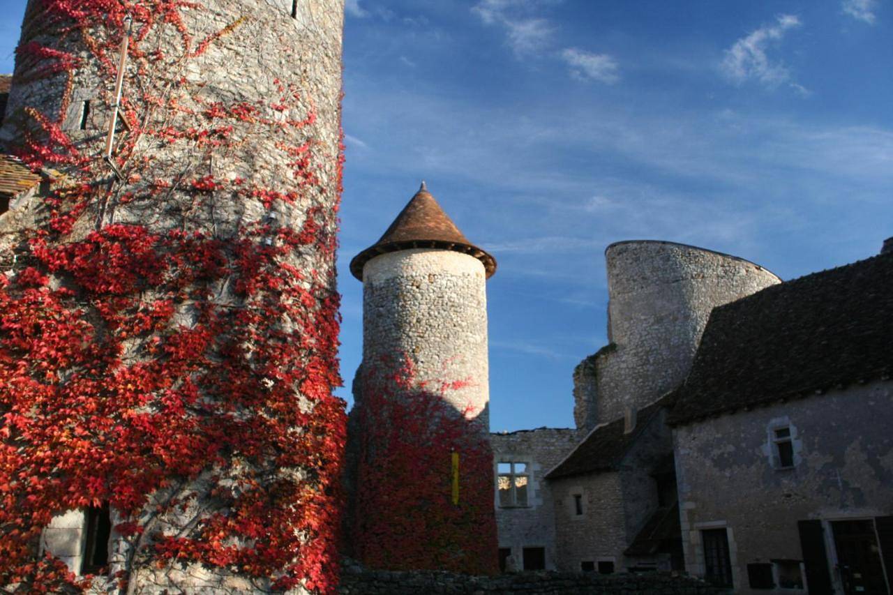 Chateau d'Ingrandes in Ingrandes, Région de Le Blanc