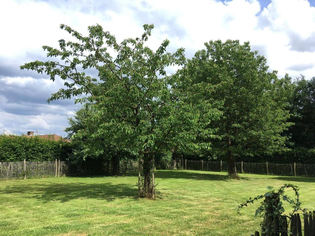 Neerhof in Neerlinter, Linter