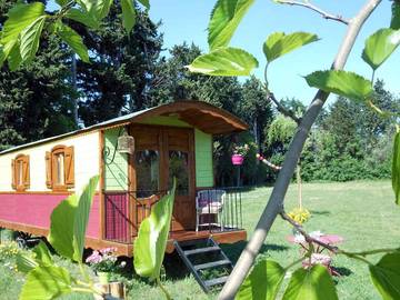 Chambre d’hôte pour 2 personnes, avec jardin et piscine à Noves