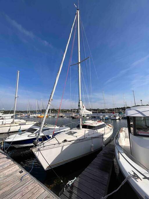Bateau pour 4 personnes, avec terrasse et vue, animaux acceptés en Bretagne - 4