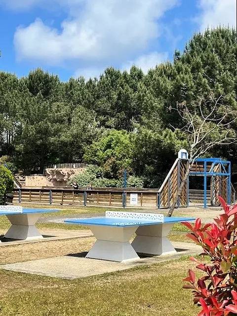 Camping pour 6 personnes, avec terrasse et piscine à Mimizan - 4