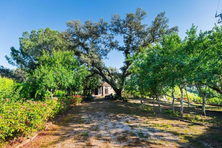Casa rural para 9 personas, con jardín y vistas además de piscina y terraza, Se admiten mascotas en Constantina - 4