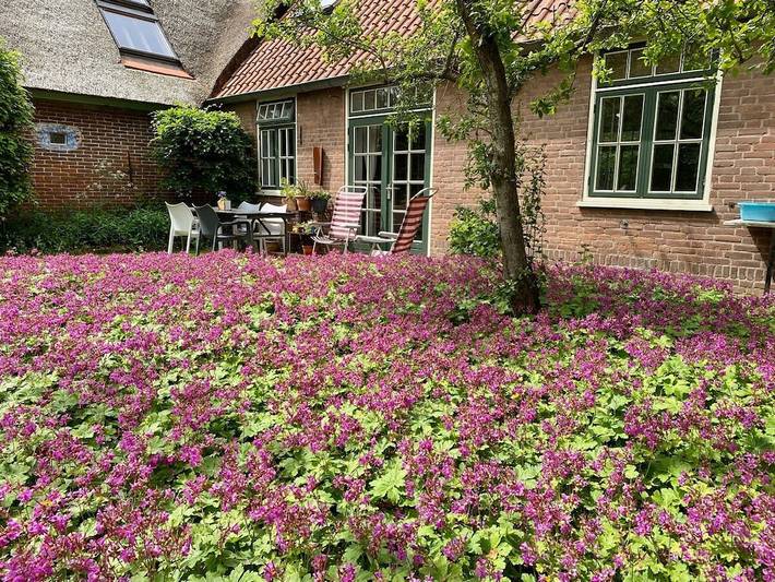 Ferienhaus für 5 Personen, mit Terrasse und Garten, mit Haustier in Groet