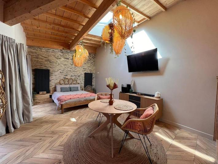 Chambre d’hôte pour 2 personnes, avec jardin et sauna ainsi que jacuzzi et terrasse à Angers - 4